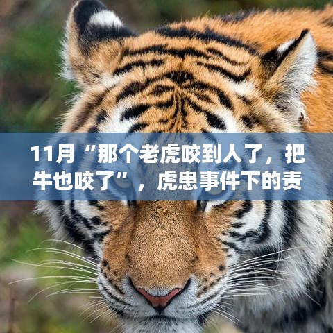 虎患事件下的責任與反思，動物保護與人居安全的平衡探討