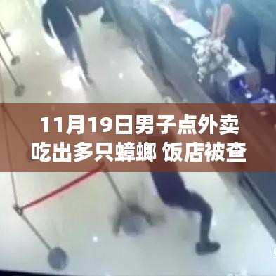 男子外賣驚現(xiàn)多只蟑螂引發(fā)食品安全警鐘事件，飯店遭查背后真相揭秘