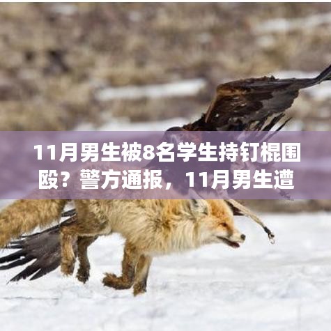 警方通報，11月男生遭學(xué)生持釘棍圍毆事件深度解析與解讀