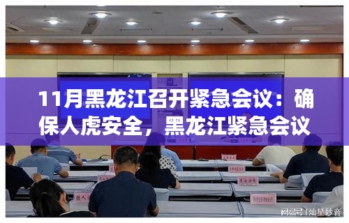 黑龍江召開緊急會議，共筑人虎安全防線，守護家園和諧安寧