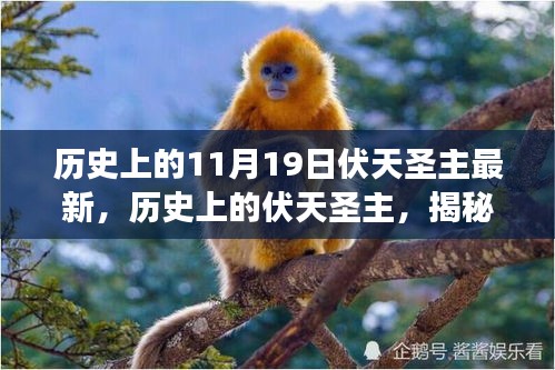 揭秘歷史上的伏天圣主，神秘事件與重大時(shí)刻的交織最新資訊（最新篇）