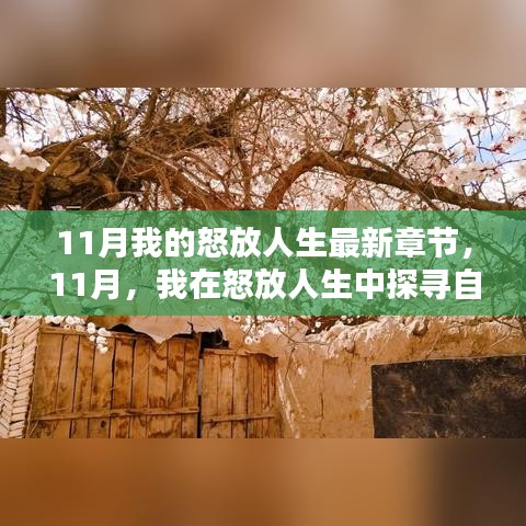 11月探尋自然秘境，怒放人生中的內(nèi)心寧靜與平和