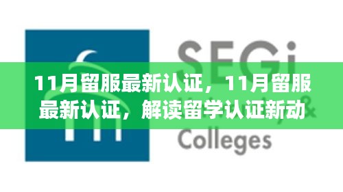 解讀最新留服認證動態(tài)，助力留學生職業(yè)發(fā)展，十一月留學認證更新概覽