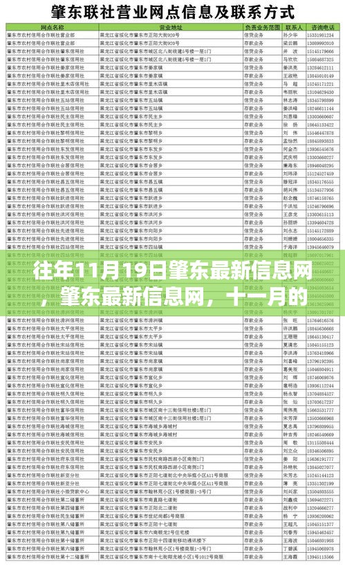 肇東最新信息動態(tài)，十一月回響與時代印記