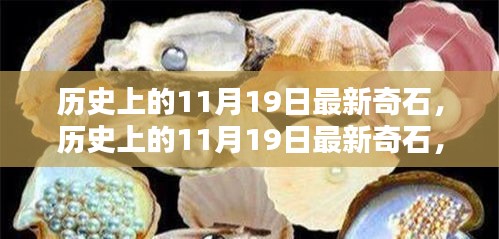 歷史上的11月19日，最新奇石的獨(dú)特魅力與深度解析