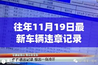 意外驚喜！往年11月19日車輛違章記錄查詢結果揭曉