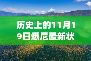 歷史上的11月19日，悉尼最新狀況與秘境探索，自然美景中的心靈之旅