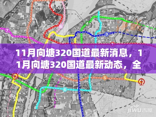 11月向塘320國道最新動態(tài)及全方位了解與行動指南