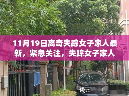 失蹤女子最新動態(tài)揭秘，家人緊急關(guān)注，11月離奇失蹤案件真相探尋