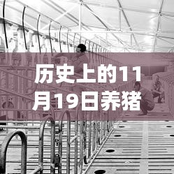 歷史上的11月19日，養(yǎng)豬場用地新政策解讀與操作指南，最新政策解讀及操作指南