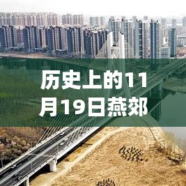 歷史上的11月19日，燕郊徐尹路最新進展全面綜述