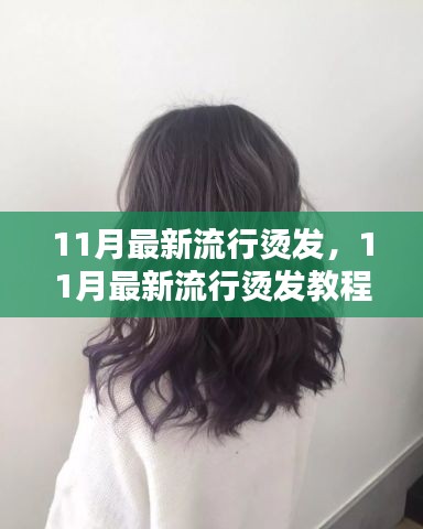 11月最新流行燙發(fā)教程，輕松打造魅力卷發(fā)造型