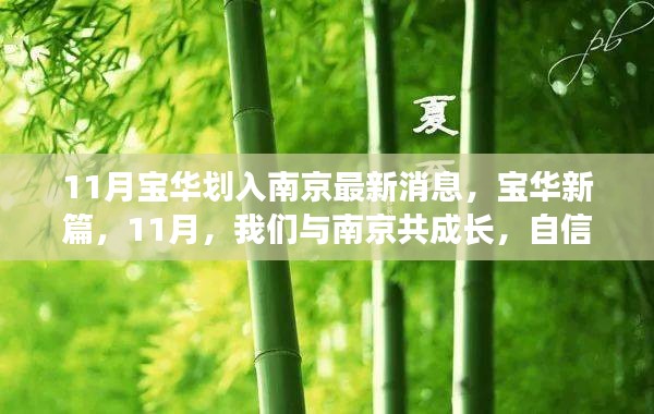 11月寶華劃入南京最新動態(tài)，共成長，啟新篇的自信與成就感之旅