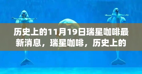 瑞星咖啡歷史上的11月19日，回望與最新消息的影響