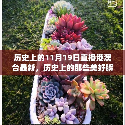 歷史上的美好瞬間，探尋自然美景與心靈的寧靜港灣（直播港澳臺最新）