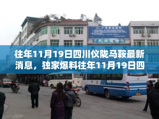 獨家揭秘，往年11月19日四川儀隴馬鞍最新消息全解析