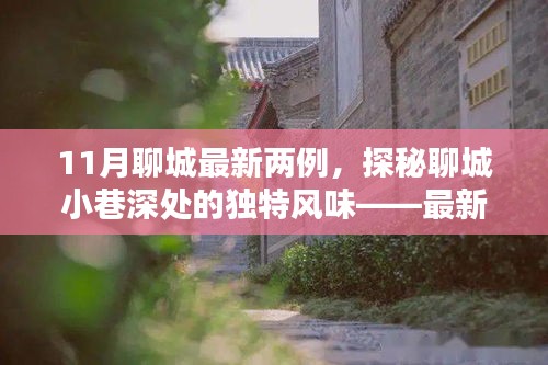探秘聊城小巷深處，最新發(fā)現(xiàn)的兩家隱藏小店——11月聊城最新兩例獨特風(fēng)味小店