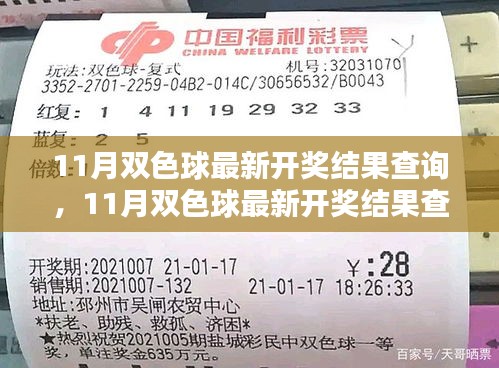 揭秘中獎秘訣，最新雙色球開獎結(jié)果查詢與快速獲取開獎信息指南（11月版）