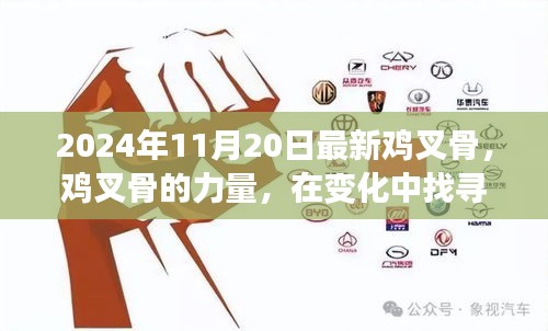 勵(lì)志之旅，雞叉骨的力量與自信成就感的探尋之路（2024年11月20日最新）