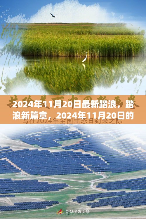 2024年11月20日踏浪新篇章，心靈與自然之旅