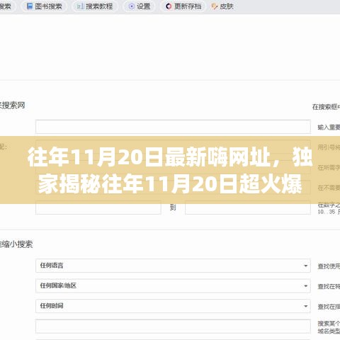 獨(dú)家揭秘，往年11月20日超火爆嗨網(wǎng)址大放送，嗨不停歇的狂歡盛宴！
