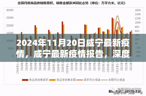 2024年11月20日咸寧疫情報(bào)告，深度解析與競(jìng)品對(duì)比，疫情態(tài)勢(shì)及應(yīng)對(duì)策略