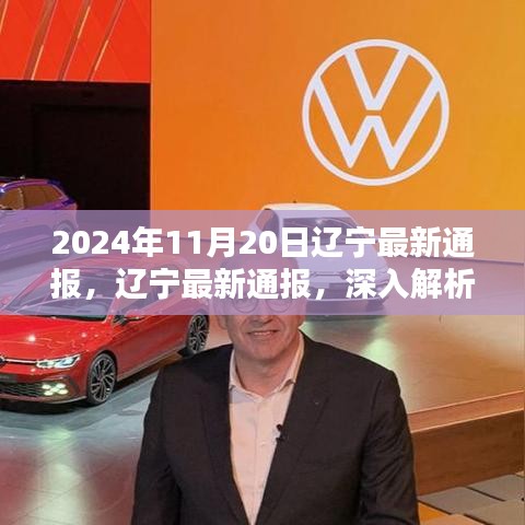 遼寧通報解析，XXXX產(chǎn)品特性與體驗深度探討，競品對比與目標(biāo)用戶群體深度分析（2024年11月20日）