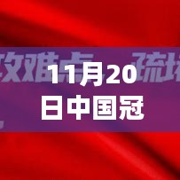 中國冠狀病毒最新狀態(tài)深度解析（截至日期，11月20日）