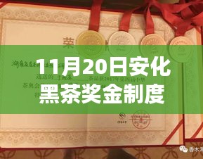 安化黑茶獎金制度最新解析及全面產(chǎn)品特性與使用體驗探討