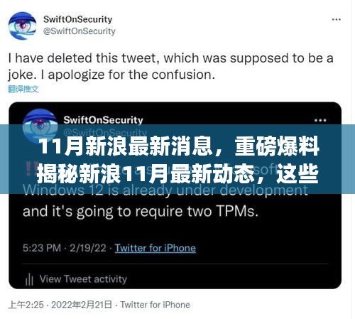 揭秘新浪11月最新動(dòng)態(tài)，重磅消息一網(wǎng)打盡