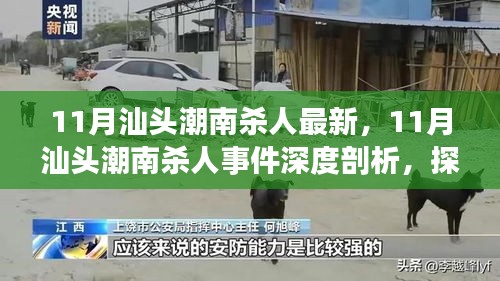 汕頭潮南殺人事件深度剖析，探究背后的觀點(diǎn)與立場