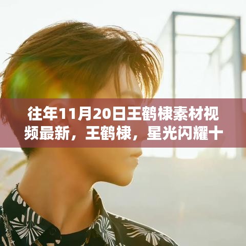 王鶴棣星光閃耀十一月，最新素材視頻回顧