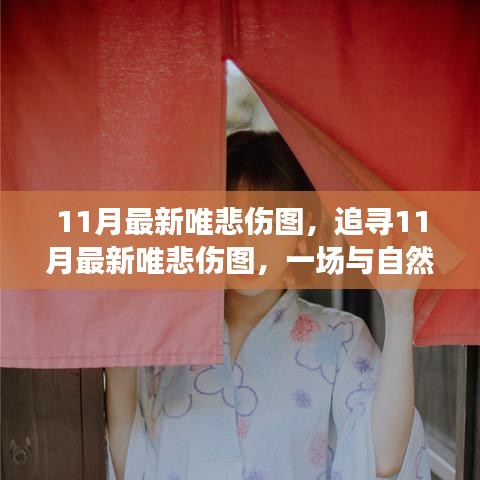 11月最新唯悲傷圖，與自然共舞的心靈治愈之旅