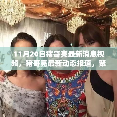 豬哥亮最新動態(tài)報道，聚焦其最新消息視頻（11月20日更新）