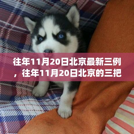 往年11月20日北京三例背后的故事，點(diǎn)燃自信與成就之光的學(xué)習(xí)之旅