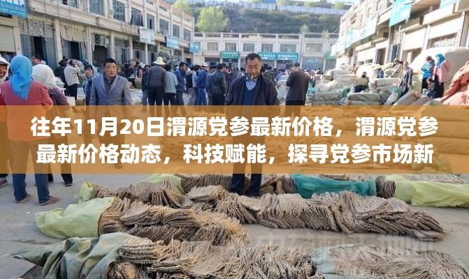 科技賦能下的渭源黨參市場新風(fēng)向，最新價(jià)格動態(tài)及市場趨勢分析（往年1月最新數(shù)據(jù)）
