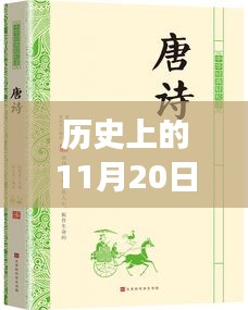麻衣神算子最新章節(jié)閱讀指南，歷史11月20日更新，初學者與進階用戶必讀