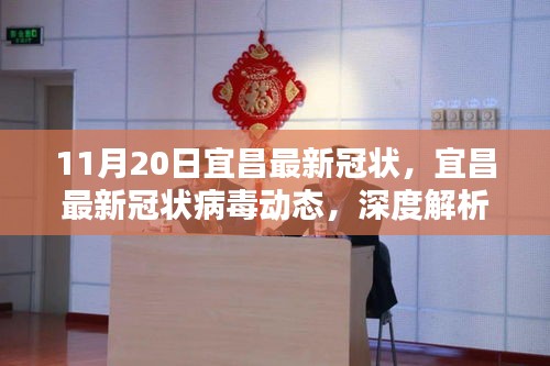 宜昌最新冠狀病毒動(dòng)態(tài)深度解析與案例分析（11月20日更新版）