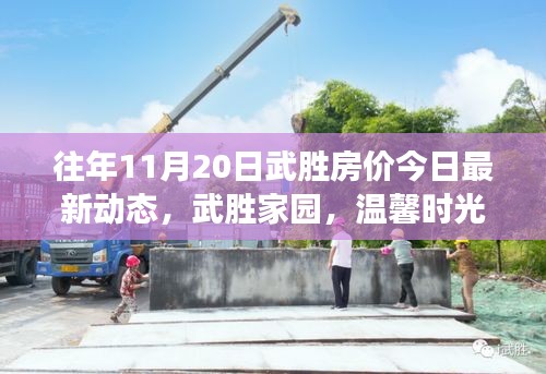 往年11月20日武勝房價今日最新動態(tài)，武勝家園，溫馨時光與房價的微妙交響曲