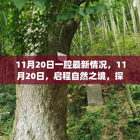 11月20日啟程自然之境，探尋內(nèi)心的桃花源最新動(dòng)態(tài)