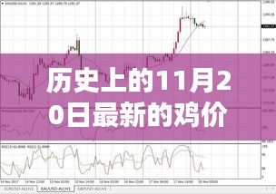 歷史上的雞價走勢，揭秘11月20日的雞價走勢分析