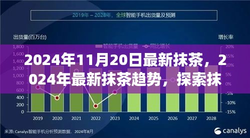 探索抹茶未來發(fā)展趨勢，最新抹茶動態(tài)與預測