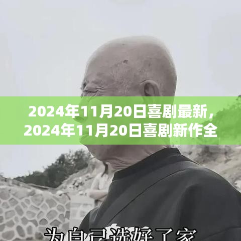 喜劇新作測(cè)評(píng)，歡笑與感動(dòng)的完美結(jié)合（2024年11月20日最新）