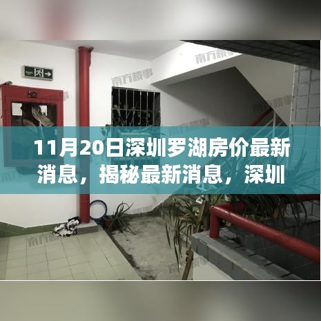 深圳羅湖房價最新動態(tài)及市場趨勢解析（11月20日數(shù)據(jù)揭秘）