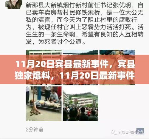 賓縣獨(dú)家爆料，11月20日最新事件全解析，小紅書(shū)直擊現(xiàn)場(chǎng)！