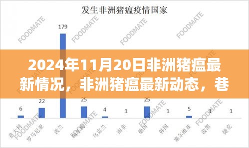 非洲豬瘟最新動(dòng)態(tài)及巷弄深處的特色小店探索之旅（2024年11月20日）