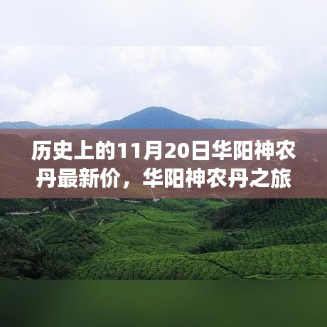 華陽(yáng)神農(nóng)丹之旅，探尋歷史價(jià)格與自然美景，尋找內(nèi)心的寧?kù)o與和諧