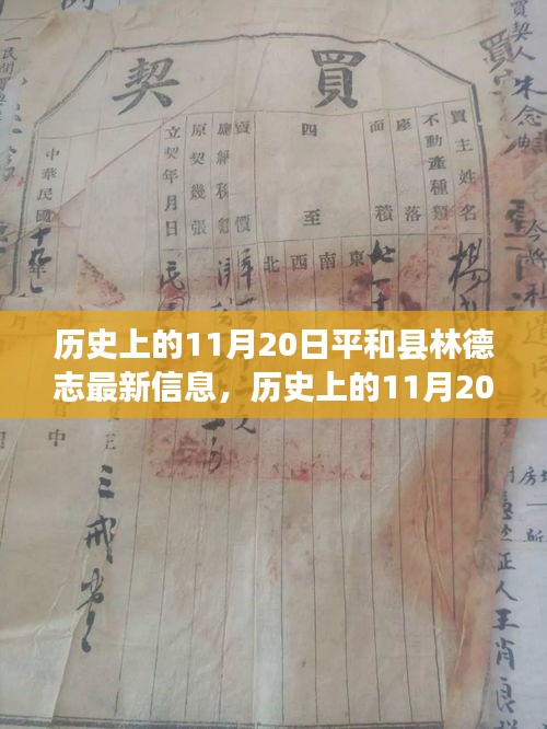 歷史上的11月20日，平和縣林德志最新信息概覽