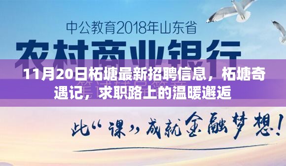 柘塘最新招聘信息揭秘，求職路上的溫暖邂逅之旅