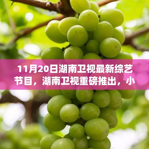 湖南衛(wèi)視巷弄美食探秘夜，小巷深處的綜藝寶藏新節(jié)目上線